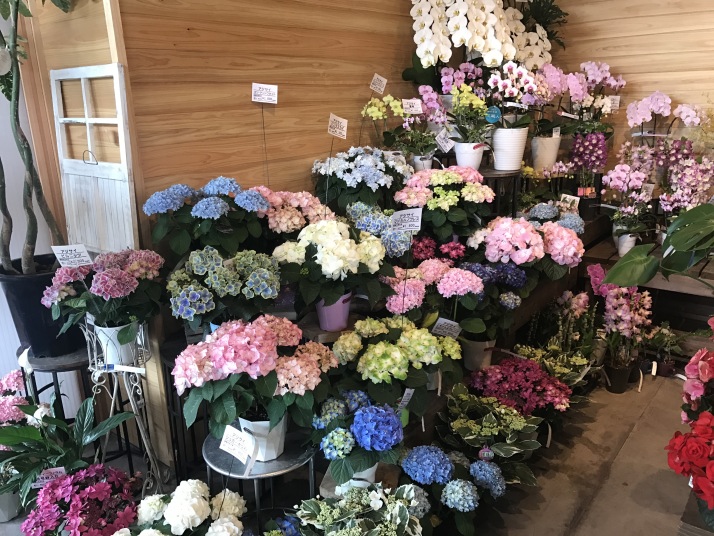 大売り出し - グリーンプラザ山長